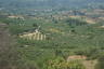 Photo ID: 031005, Olive Groves (192Kb)