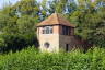 Photo ID: 031862, Caversham Court Gazebo (295Kb)