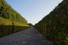 Photo ID: 031961, Hedge lined avenues (194Kb)