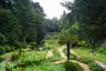 Photo ID: 033386, Entering the Plantation Garden (234Kb)