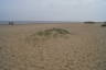 Photo ID: 033757, Baby dune (125Kb)