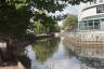 Photo ID: 035516, Looking down the Wey (183Kb)