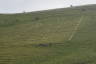 Photo ID: 036009, View of the Long Man (141Kb)