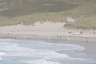 Photo ID: 036075, Lifeguards on Duty (98Kb)