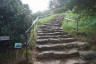 Photo ID: 036176, Pilgrim's Steps (192Kb)