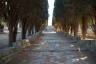 Photo ID: 036281, Walking up to the Acropolis (187Kb)