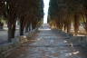 Photo ID: 036281, Walking up to the Acropolis (187Kb)