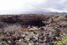 Photo ID: 037166, Approaching the caves (196Kb)