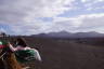 Photo ID: 037381, Camels amongst the volcanoes (113Kb)