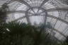 Photo ID: 037500, Inside the Palm House (170Kb)