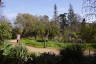 Photo ID: 038685, Jardin botanique Henri-Gaussen (228Kb)