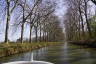 Photo ID: 038718, Under the trees of the Canal du Midi (260Kb)