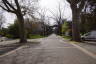 Photo ID: 038742, Tree lined walkway (211Kb)