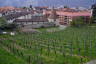 Photo ID: 039399, Small tower in a vineyard (230Kb)