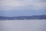 Photo ID: 039970, Ferry heading to Bainbridge Island (58Kb)