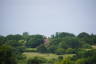 Photo ID: 041068, Oast houses in the distance (114Kb)