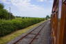 Photo ID: 041111, Looking down the train (180Kb)