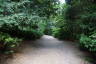Photo ID: 041257, Climbing up through the gardens (230Kb)