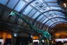 Photo ID: 042004, London's Dinosaur (168Kb)