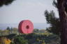 Photo ID: 043878, Donut (120Kb)