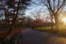 Photo ID: 044364, Walking through the park (201Kb)