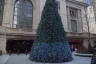 Photo ID: 044430, Grand Central Christmas Tree (201Kb)