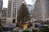 Photo ID: 044464, Rockefeller Centre Christmas Tree and Prometheus statue (200Kb)