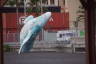 Photo ID: 044836, Whale sculpture (146Kb)