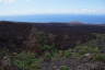 Photo ID: 044871, Burnt and non burnt trees by the lava flow (148Kb)