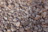 Photo ID: 045053, Discarded shells (208Kb)