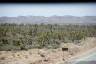 Photo ID: 045626, Joshua Tree Forest (177Kb)