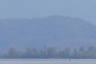 Photo ID: 045857, Insel Ufenau from Richterswil (76Kb)