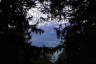 Photo ID: 046078, Mountains through the pines (159Kb)