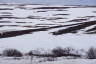 Photo ID: 046815, Reindeer in the distance (137Kb)