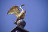 Photo ID: 047612, The Swan the symbol of Buckingham (89Kb)