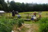 Photo ID: 047940, In the allotment (217Kb)