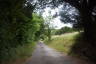 Photo ID: 048094, Looking down the lane (196Kb)