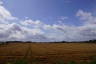 Photo ID: 048296, Fields around Wilmcote (114Kb)