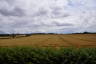 Photo ID: 048442, Looking out over the fields (125Kb)