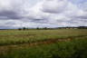 Photo ID: 048448, Out in the fields of Wilmcote (130Kb)