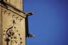 Photo ID: 049217, Gargoyles on the tower (120Kb)