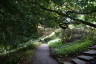 Photo ID: 049342, Descending through the gardens (231Kb)