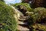 Photo ID: 049344, Climbing up through the rockery (270Kb)