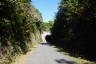 Photo ID: 049521, Approaching the Wichlinghauser Tunnel (200Kb)