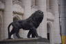 Photo ID: 049752, Lions in front of the court (125Kb)