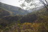 Photo ID: 049972, View up the valley (202Kb)