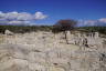 Photo ID: 050811, In the ruins of Ancient Kourion (171Kb)