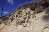 Photo ID: 050909, Ancient stones slowly being exposed by cliff erosion (205Kb)