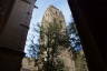 Photo ID: 051240, Cathedral tower from the cloister (159Kb)