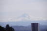 Photo ID: 051536, Mount Hood in the distance (77Kb)